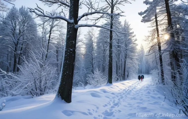 아웃도어 테라피와 건강한 삶의 스타일 - **Forest Bathing Serenity**
    "A serene and tranquil forest scene, focusing on a person experienci...
