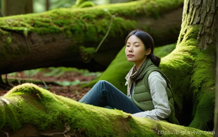 아웃도어 테라피 체험 프로그램 소개 - **Prompt:** A serene and immersive "forest bathing" (Shinrin-Yoku) scene. A person, fully clothed in...